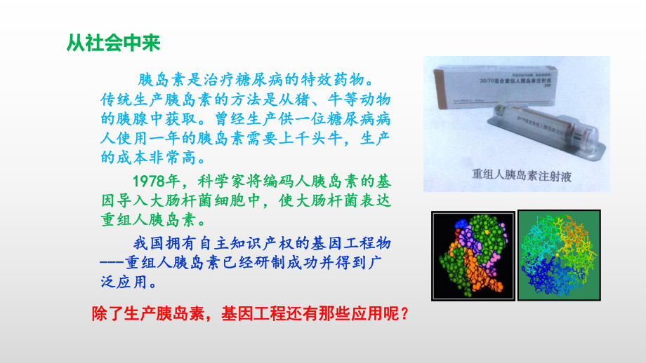 3.3基因工程的应用 课件ppt课件-（新教材）2019新人教版高中生物选择性必修三.pptx_第2页