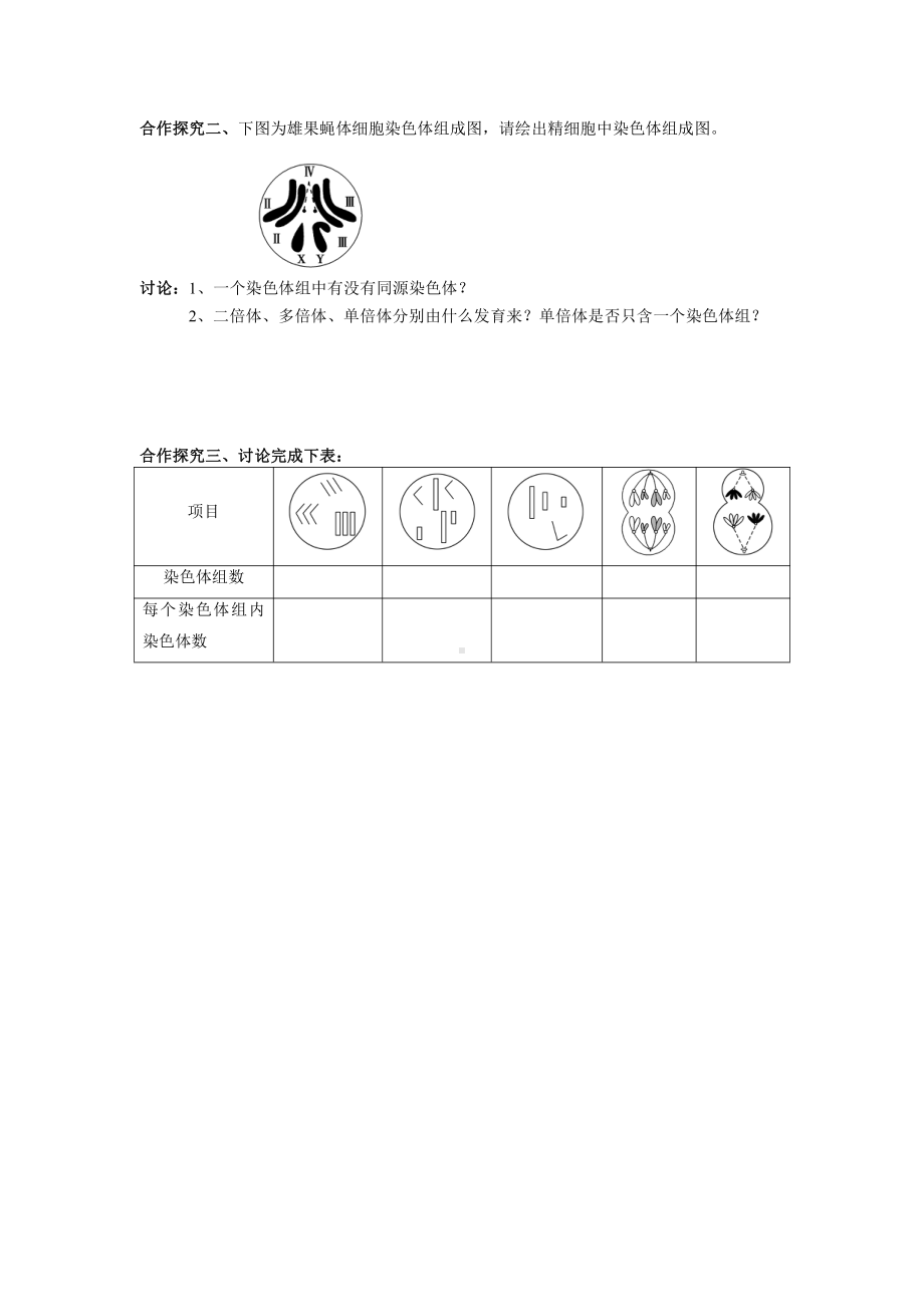 3.1染色体变异的类型 学案-（新教材）2019新苏教版高中生物必修二.doc_第2页