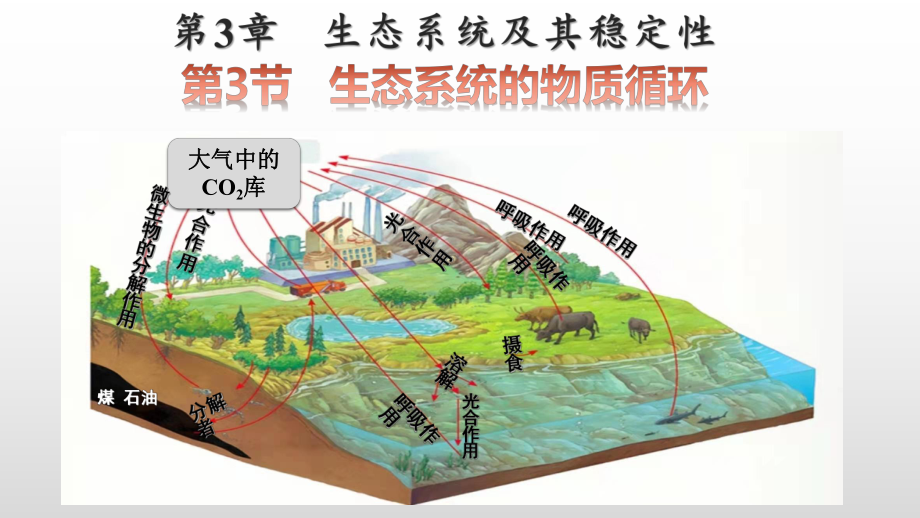 3.3 生态系统的物质循环 ppt课件-（新教材）2019新人教版高中生物选择性必修二.pptx_第1页