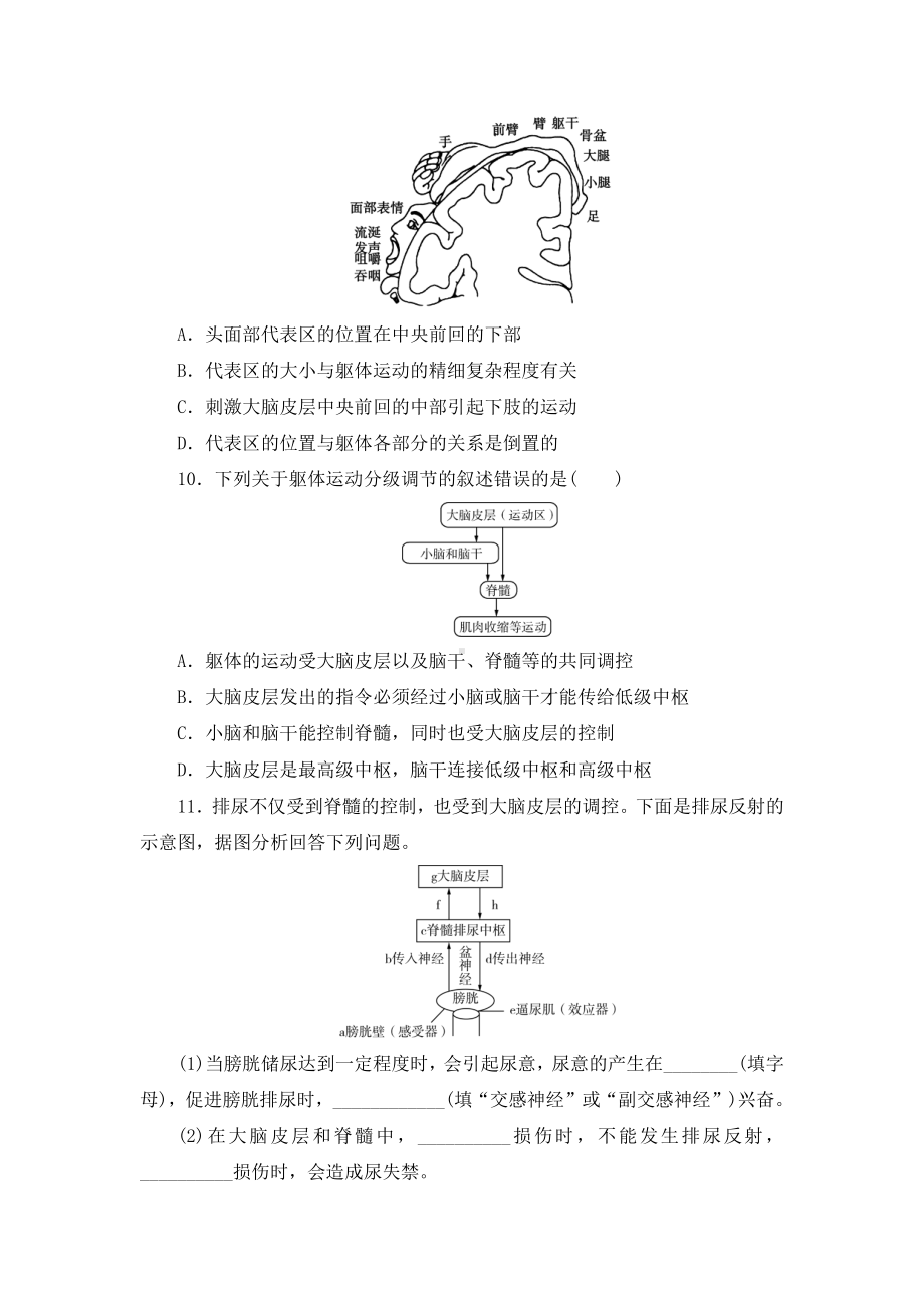 2.4神经系统的分级调节练习-（新教材）2019新人教版高中生物选择性必修一.doc_第3页