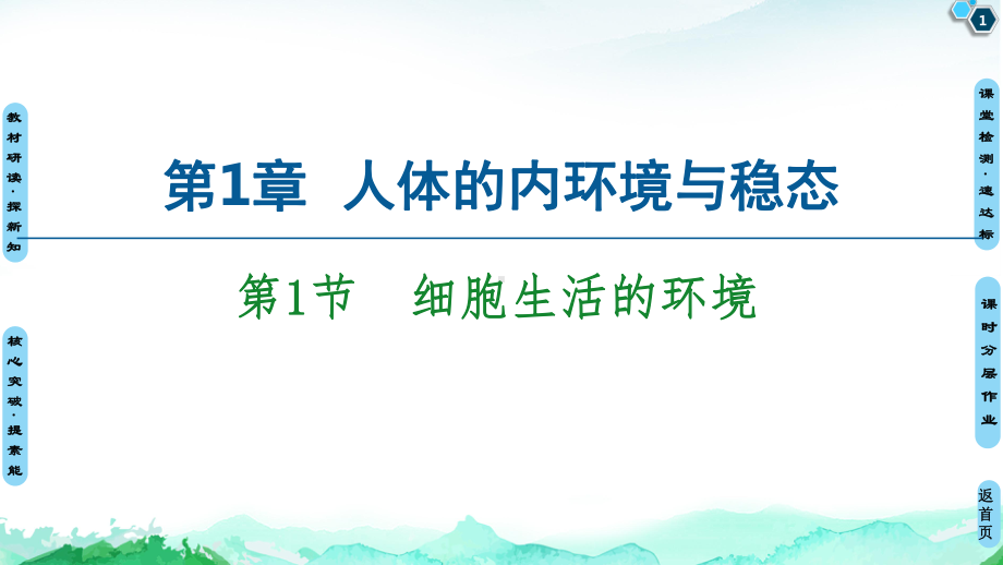 第1章 第1节　细胞生活的环境 ppt课件-（新教材）2019新人教版高中生物选择性必修一(共58张PPT).ppt_第1页