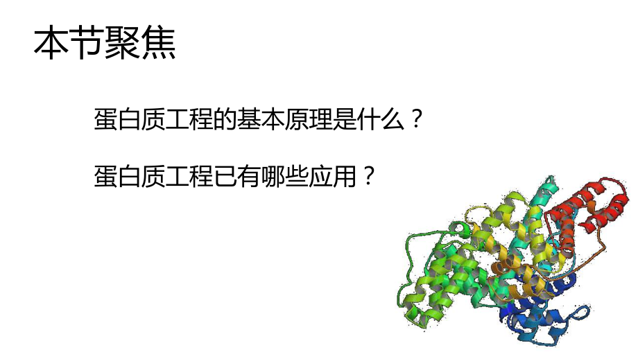 3.4蛋白质工程的崛起 ppt课件-（新教材）2019新人教版高中生物选择性必修三.pptx_第2页