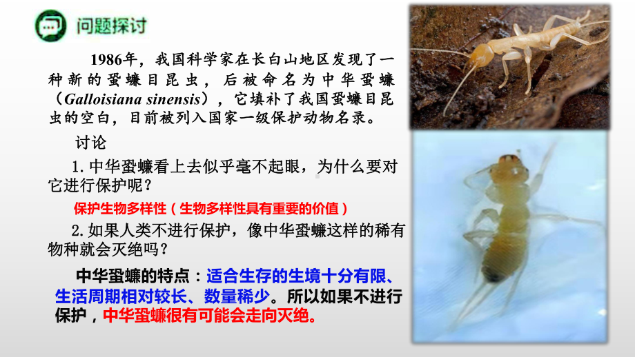 4.2 生物多样性及其保护 ppt课件-（新教材）2019新人教版高中生物选择性必修二 (2).pptx_第3页