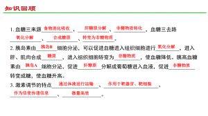 3.3体液调节与神经调节的关系ppt课件-（新教材）2019新人教版高中生物选择性必修一.pptx