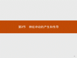 2.3 神经冲动的产生和传导 ppt课件-（新教材）2019新人教版高中生物选择性必修一(共37张PPT).pptx