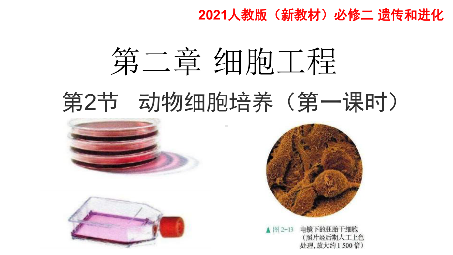 2.2.1 动物细胞工程（第一课时） ppt课件-（新教材）2019新人教版高中生物选择性必修三.pptx_第1页