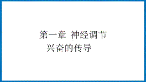 第一章课时2 神经调节兴奋的传导 ppt课件-（新教材）2019新苏教版高中生物选修性必修一.pptx