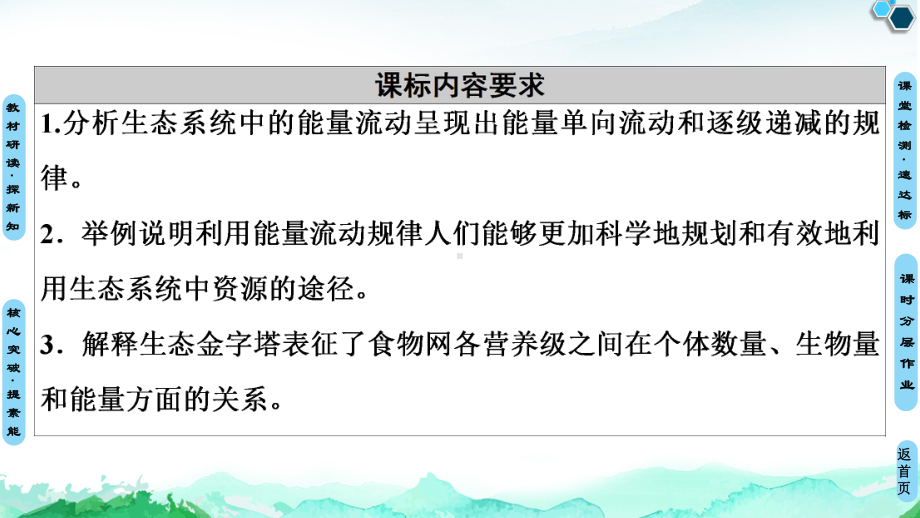 第3章 第2节　生态系统的能量流动 ppt课件-（新教材）2019新人教版高中生物选择性必修二.ppt_第2页