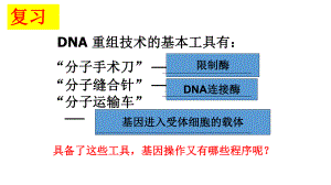 3.2 基因工程的基本操作程序 ppt课件-（新教材）2019新人教版高中生物选择性必修三.pptx