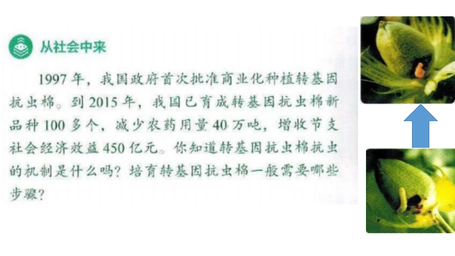 3.2 基因工程的基本操作程序 ppt课件-（新教材）2019新人教版高中生物选择性必修三.pptx_第3页