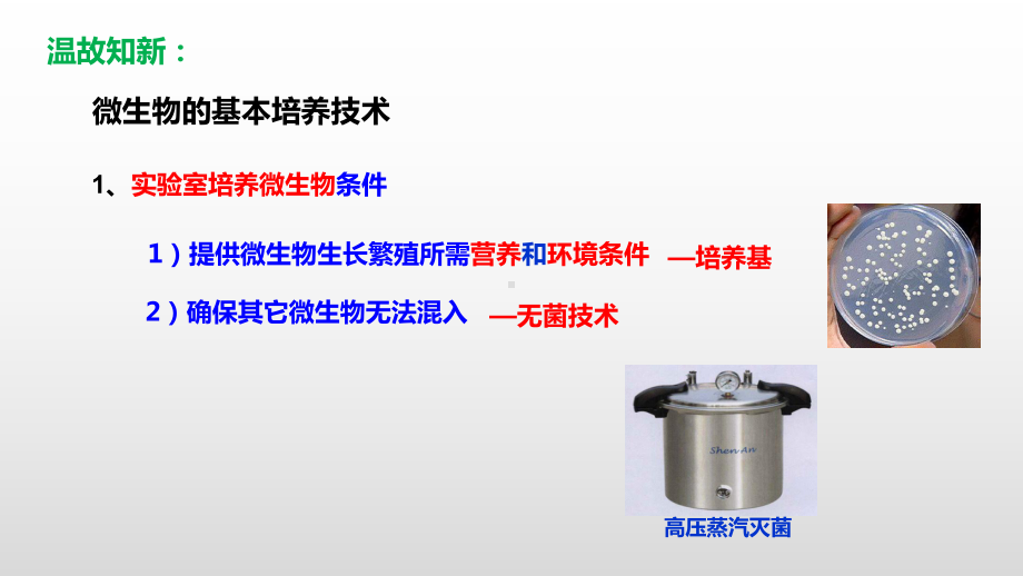 1.2.2 微生物的选择培养和计数ppt课件-（新教材）2019新人教版高中生物选择性必修三.pptx_第2页