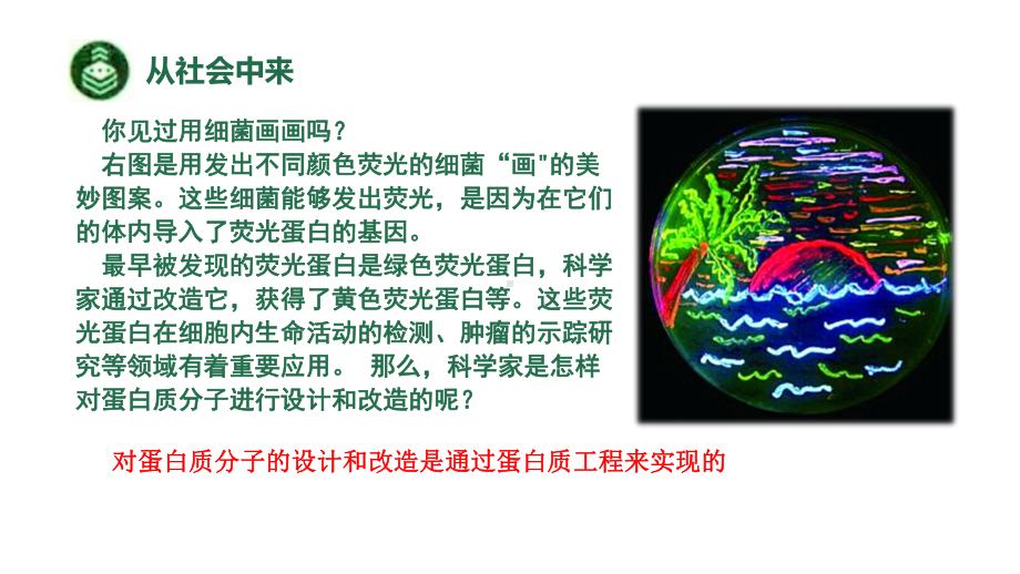 3.4 蛋白质工程的原理和应用 ppt课件-（新教材）2019新人教版高中生物选择性必修三（19张PPT）.pptx_第2页