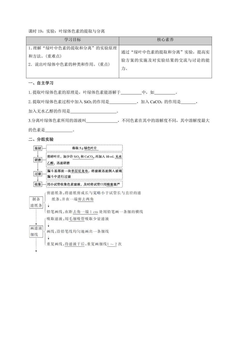 第3章课时19 实验：叶绿体色素的提取与分离 学案-（新教材）2019新苏教版高中生物必修一.doc_第1页