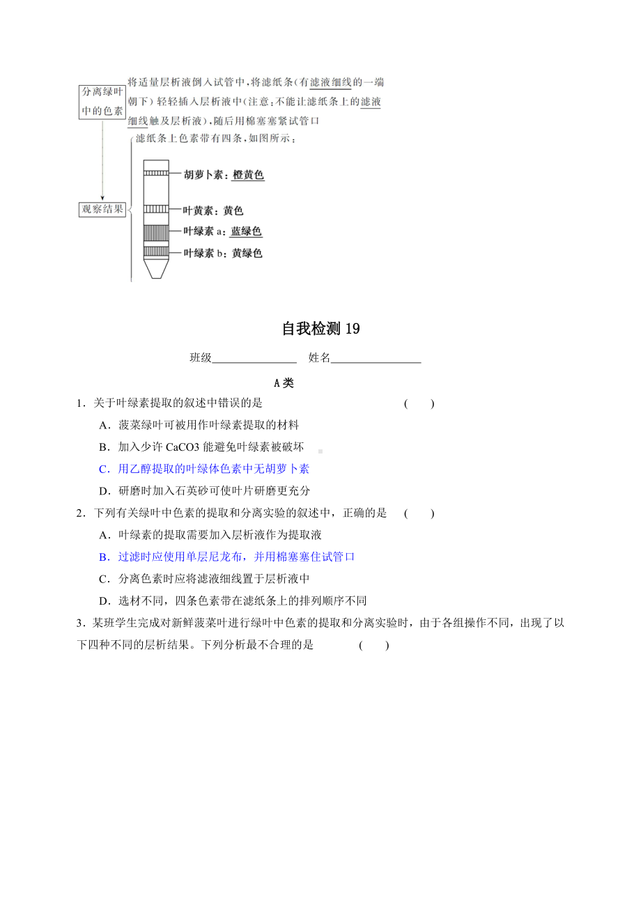 第3章课时19 实验：叶绿体色素的提取与分离 学案-（新教材）2019新苏教版高中生物必修一.doc_第2页