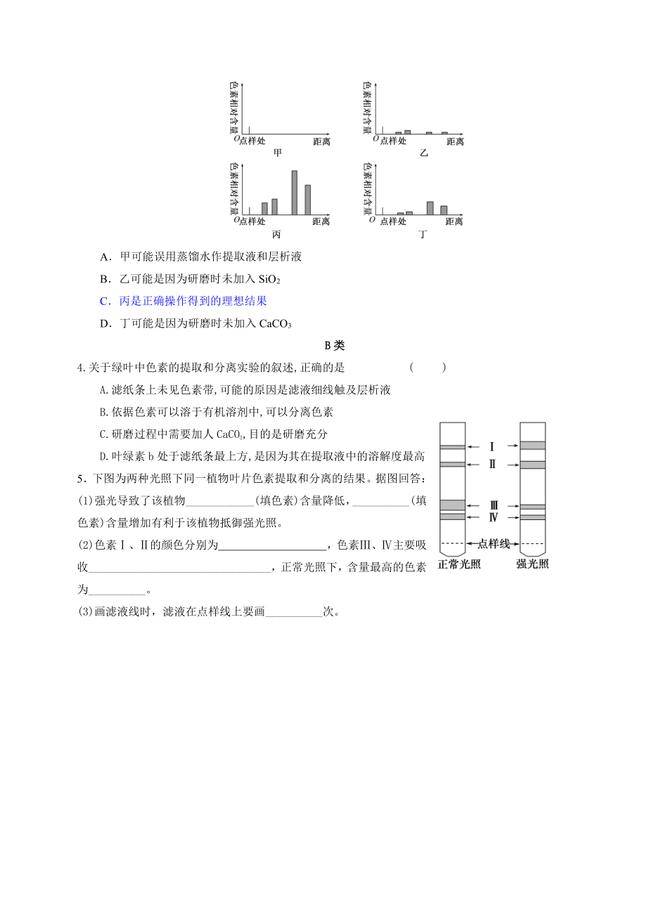 第3章课时19 实验：叶绿体色素的提取与分离 学案-（新教材）2019新苏教版高中生物必修一.doc_第3页