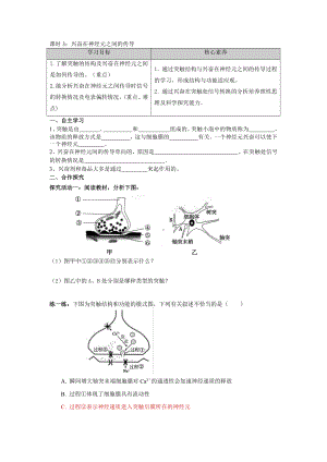 第一章课时3 兴奋在神经元之间的传导 学案-（新教材）2019新苏教版高中生物选修性必修一.doc