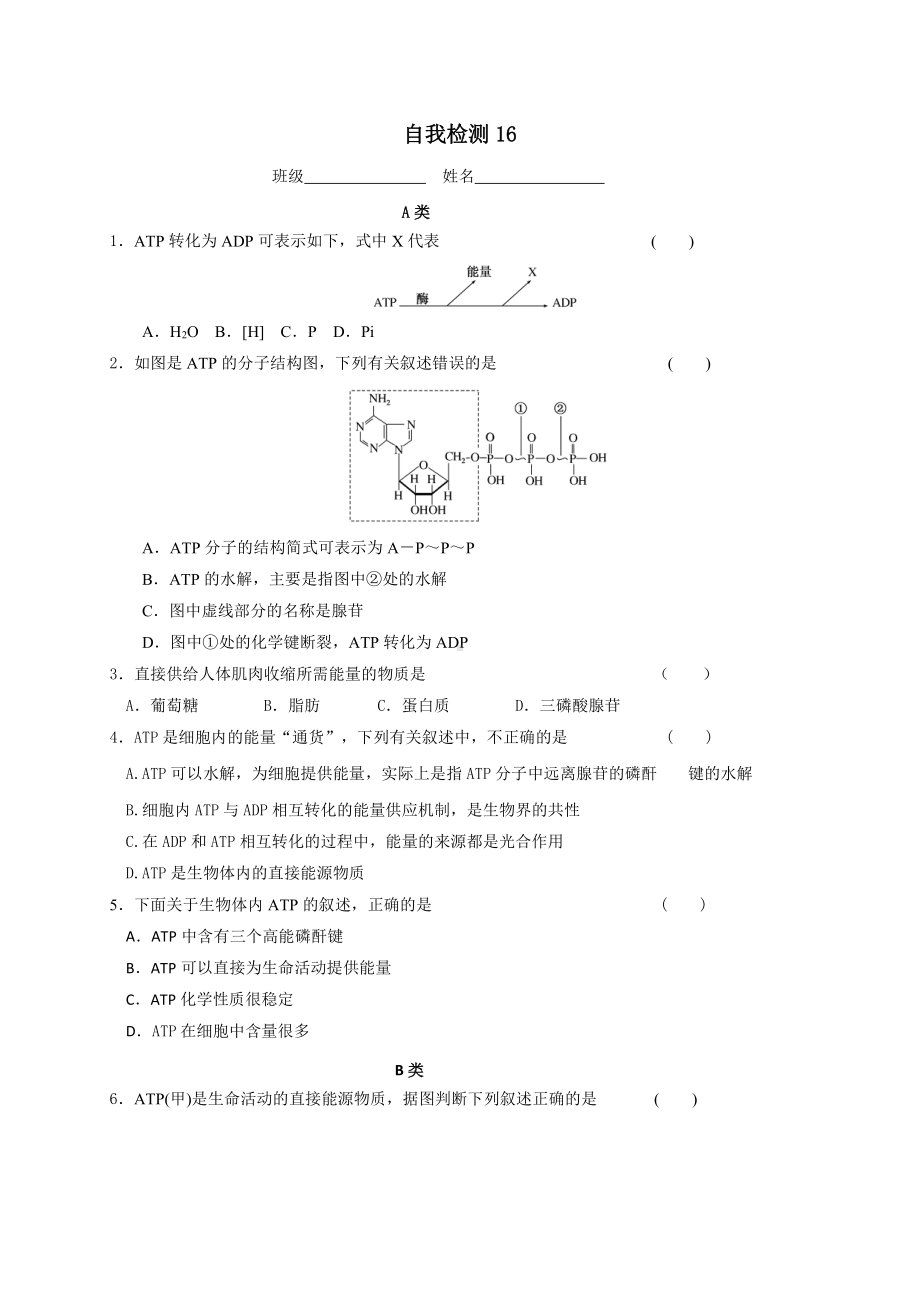 第3章课时16 ATP 学案-（新教材）2019新苏教版高中生物必修一.doc_第3页