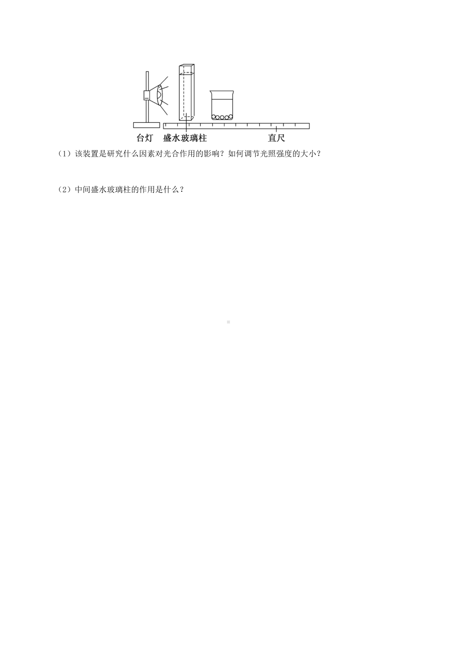 第3章课时18 光合作用（二）学案-（新教材）2019新苏教版高中生物必修一.doc_第3页