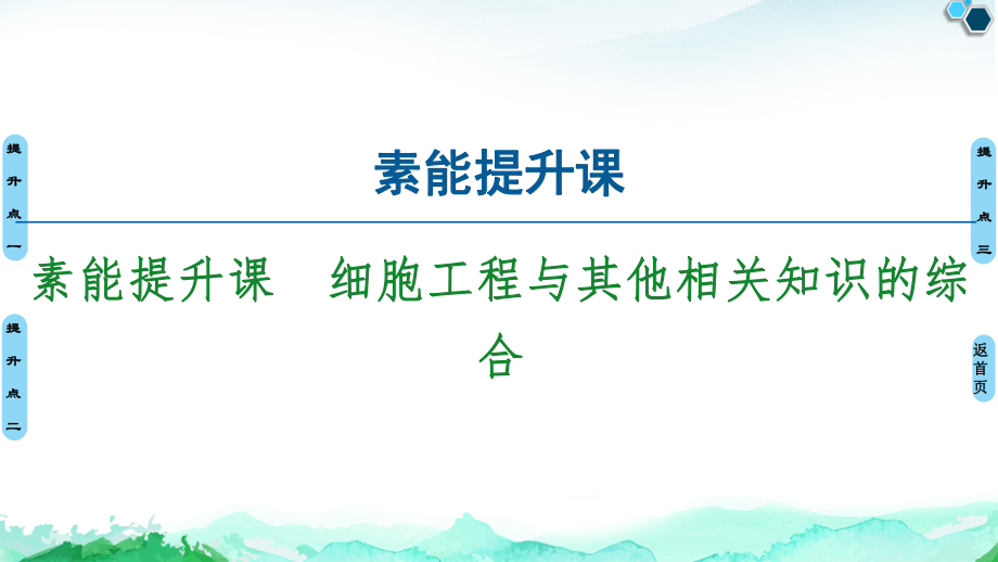 第2章 素能提升课 细胞工程与其他相关知识的综合 ppt课件-（新教材）2019新人教版高中生物选择性必修三.ppt_第1页