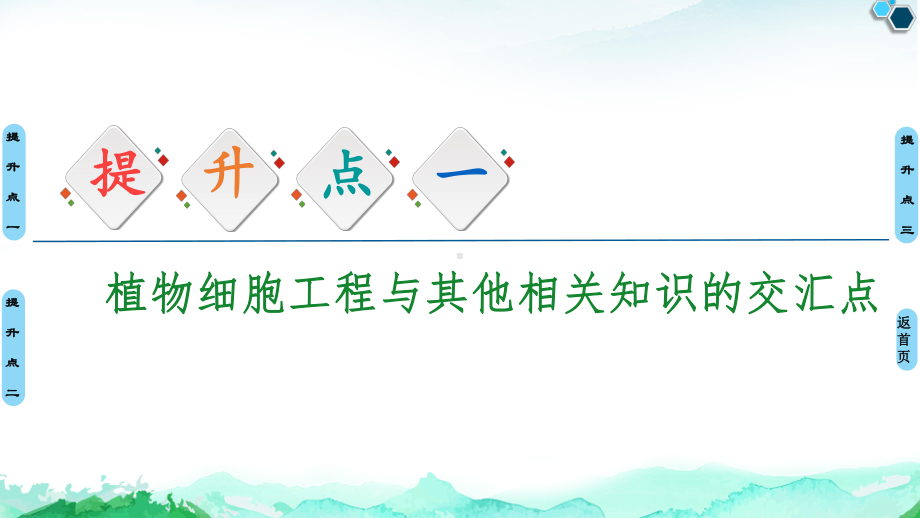 第2章 素能提升课 细胞工程与其他相关知识的综合 ppt课件-（新教材）2019新人教版高中生物选择性必修三.ppt_第2页