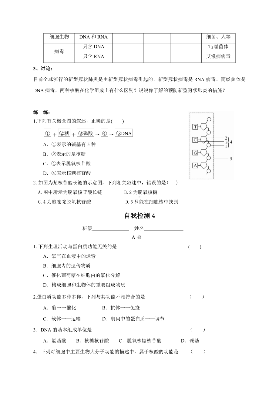 第1章课时4 蛋白质和功能、核酸 学案-（新教材）2019新苏教版高中生物必修一.doc_第3页