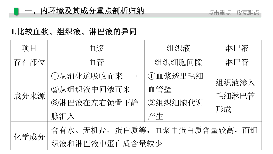 第1章人体的内环境与稳态章末复习ppt课件-（新教材）2019新人教版高中生物选择性必修一.pptx_第2页