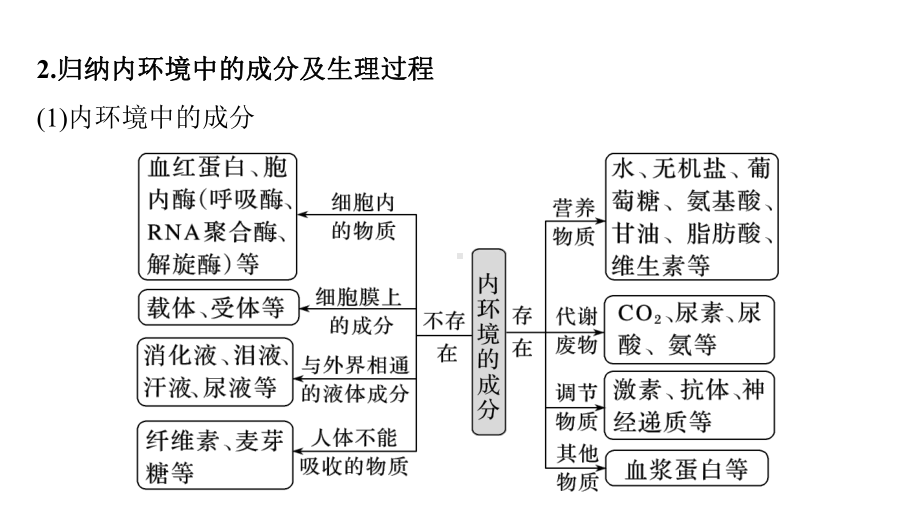 第1章人体的内环境与稳态章末复习ppt课件-（新教材）2019新人教版高中生物选择性必修一.pptx_第3页