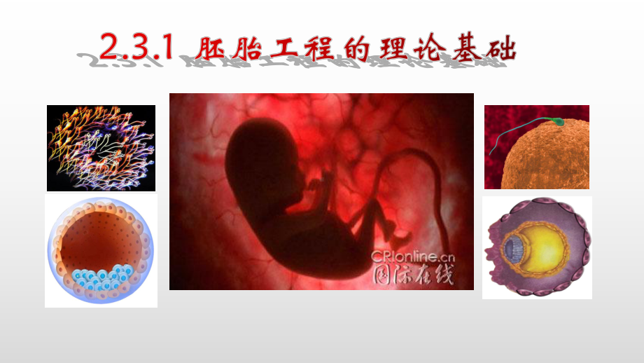 2.3.1体内受精和早期胚胎发育ppt课件-（新教材）2019新人教版高中生物选择性必修三.pptx_第1页