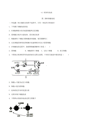 4.2.2 特异性免疫 细胞免疫 同步练习-（新教材）2019新人教版高中生物选择性必修一.docx