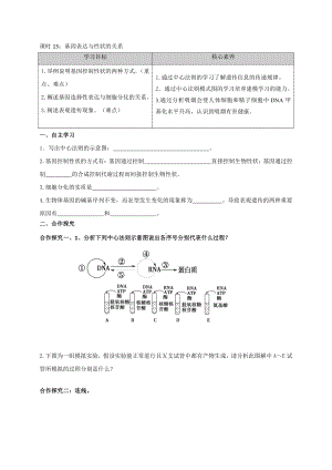 2.3基因表达与性状的关系 学案-（新教材）2019新苏教版高中生物必修二.doc