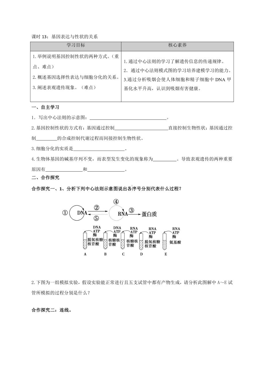 2.3基因表达与性状的关系 学案-（新教材）2019新苏教版高中生物必修二.doc_第1页