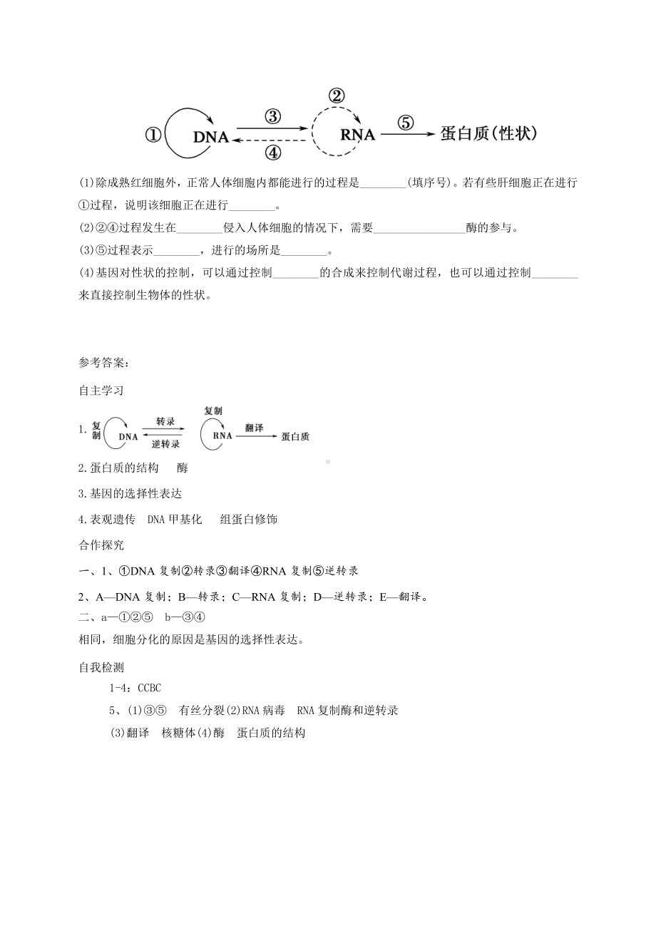 2.3基因表达与性状的关系 学案-（新教材）2019新苏教版高中生物必修二.doc_第3页