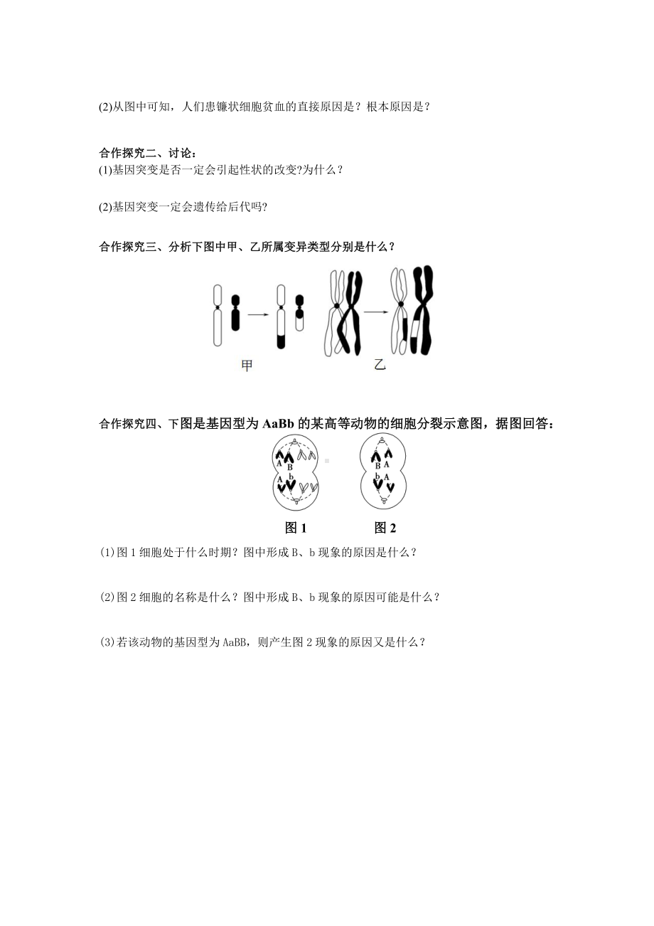 3.2基因突变和基因重组 学案-（新教材）2019新苏教版高中生物必修二.doc_第2页