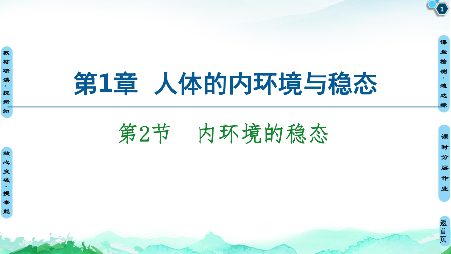 第1章 第2节　内环境的稳态 ppt课件-（新教材）2019新人教版高中生物选择性必修一(共55张PPT).ppt_第1页