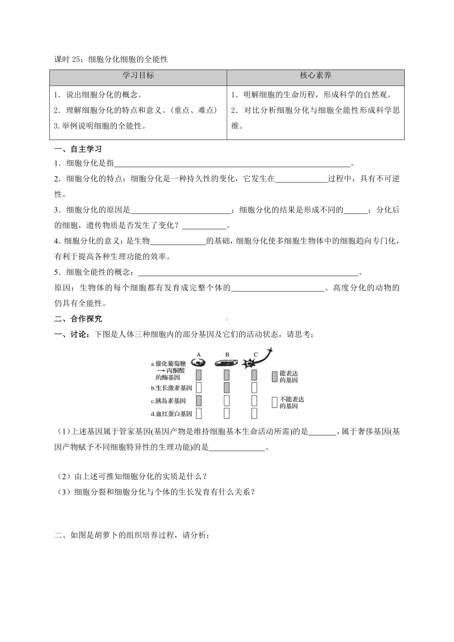 第4章课时25 细胞分化、细胞的全能性 学案-（新教材）2019新苏教版高中生物必修一.doc_第1页