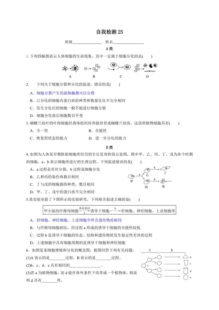 第4章课时25 细胞分化、细胞的全能性 学案-（新教材）2019新苏教版高中生物必修一.doc_第3页