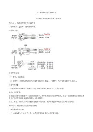 2.3.1 兴奋在神经纤维上的传导 导学案-（新教材）2019新人教版高中生物选择性必修一.docx