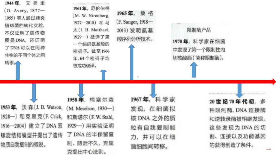 3.1DNA重组技术的基本工具 ppt课件-（新教材）2019新人教版高中生物选择性必修三.pptx_第2页