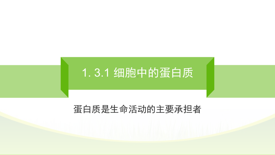 1.3.1细胞中的蛋白质 ppt课件-（新教材）2019新苏教版高中生物必修一(共31张PPT).pptx_第2页