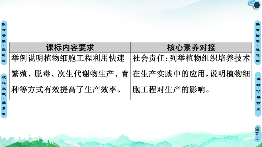 第2章 第1节 第2课时 植物细胞工程的应用 ppt课件-（新教材）2019新人教版高中生物选择性必修三.ppt_第2页