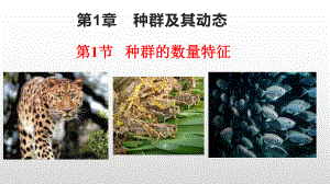 1.1 种群的数量特征 ppt课件-（新教材）2019新人教版高中生物选择性必修二 (2).pptx