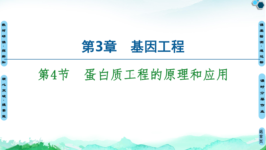 第3章 第4节 蛋白质工程的原理和应用 ppt课件-（新教材）2019新人教版高中生物选择性必修三.ppt_第1页