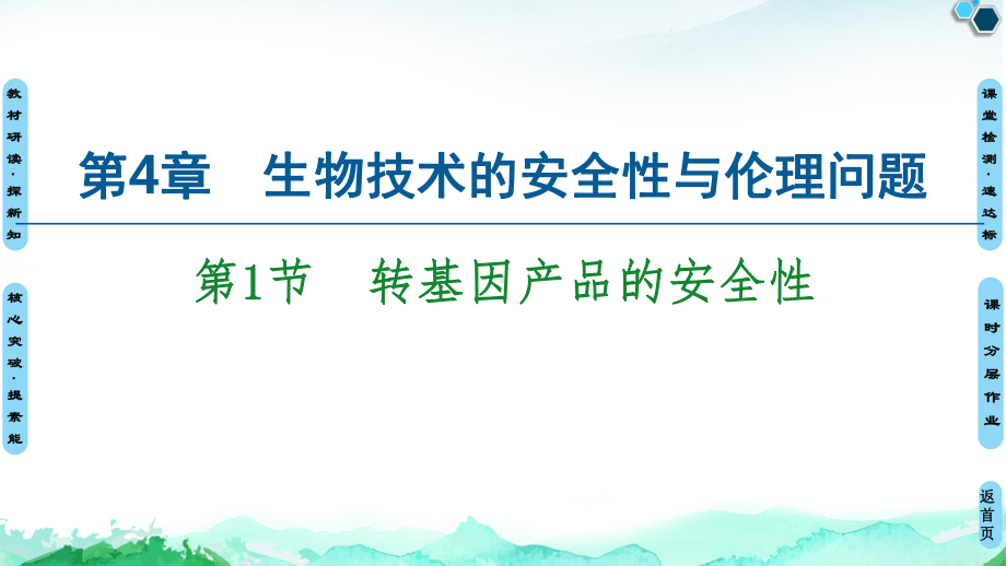 第4章 第1节 转基因产品的安全性 ppt课件-（新教材）2019新人教版高中生物选择性必修三.ppt_第1页