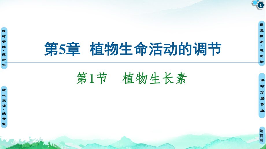 第5章 第1节　植物生长素 ppt课件-（新教材）2019新人教版高中生物选择性必修一(共82张PPT).ppt_第1页