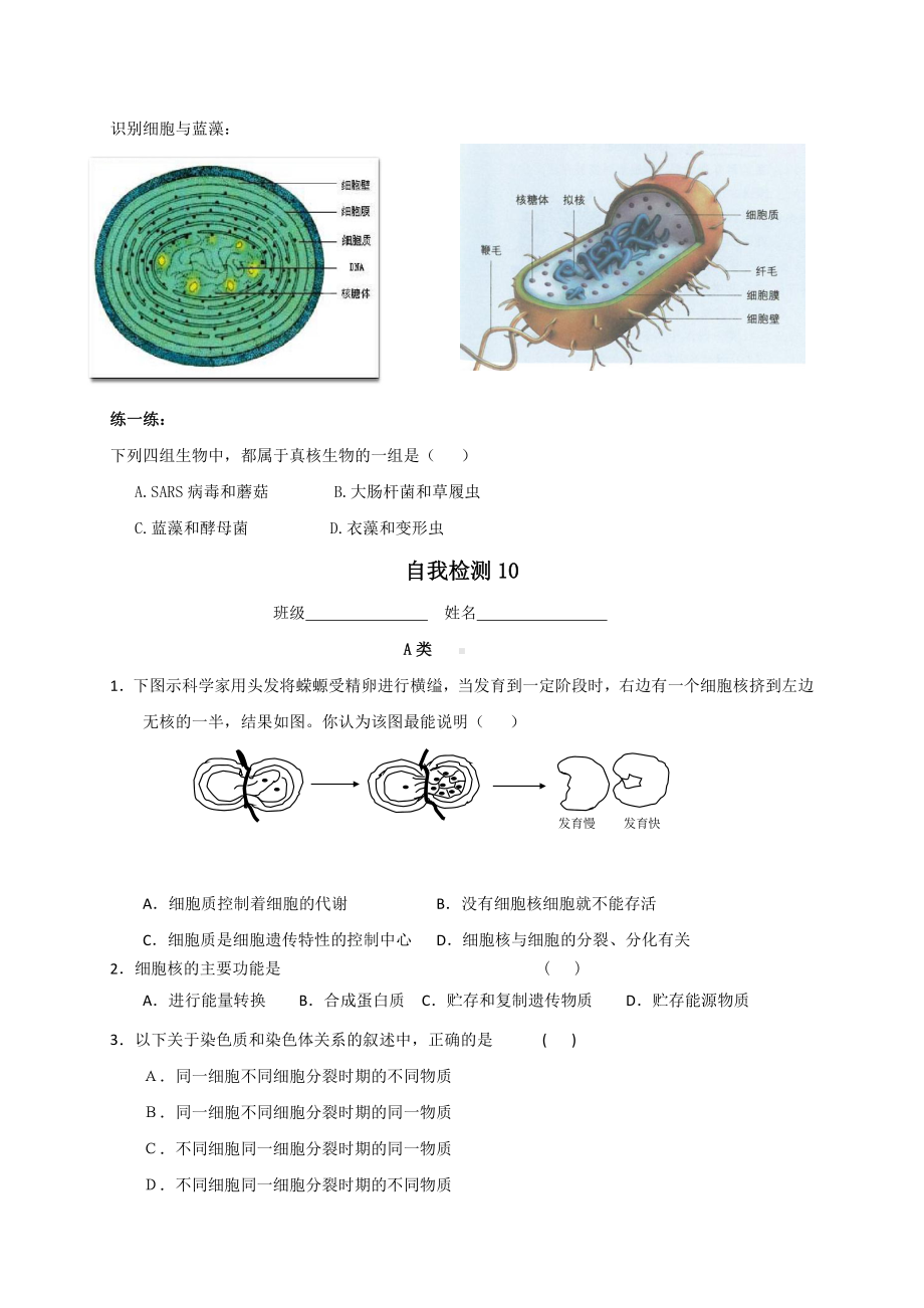 第2章课时10 细胞核结构与功能 学案-（新教材）2019新苏教版高中生物必修一.doc_第3页