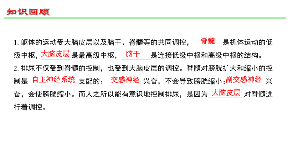 2.5人脑的高级功能ppt课件-（新教材）2019新人教版高中生物选择性必修一.pptx_第1页