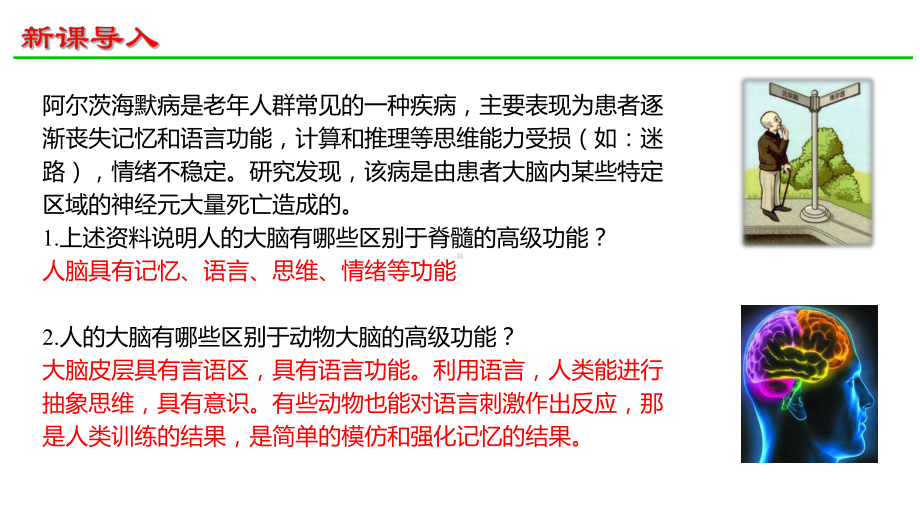 2.5人脑的高级功能ppt课件-（新教材）2019新人教版高中生物选择性必修一.pptx_第3页