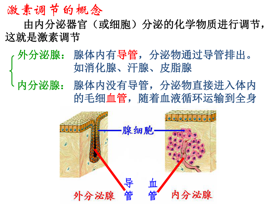 3.1激素与内分泌系统ppt课件-（新教材）2019新人教版高中生物选择性必修一.pptx_第3页