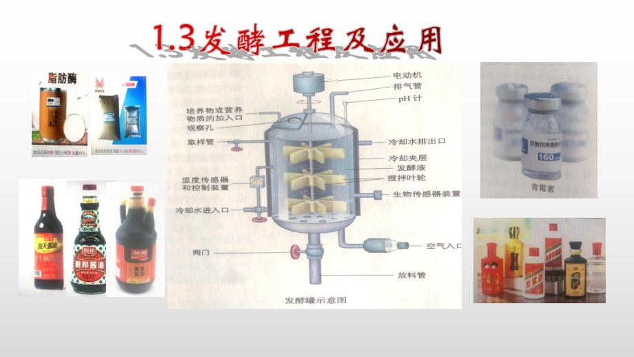 1.3发酵工程及应用ppt课件-（新教材）2019新人教版高中生物选择性必修三.pptx_第1页