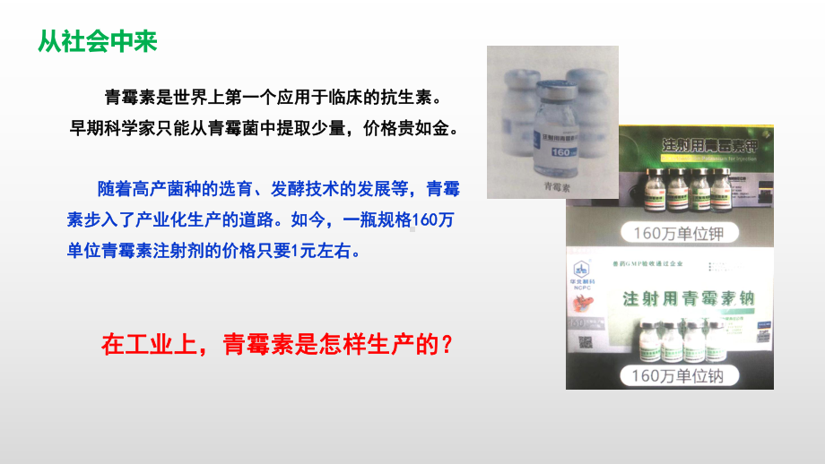 1.3发酵工程及应用ppt课件-（新教材）2019新人教版高中生物选择性必修三.pptx_第2页